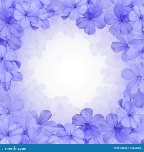 Blue Flower Border Background