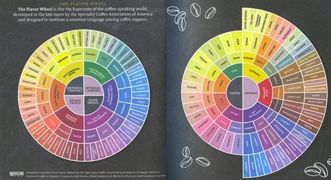 Roda de sabores o guia que revela as principais qualidades do café