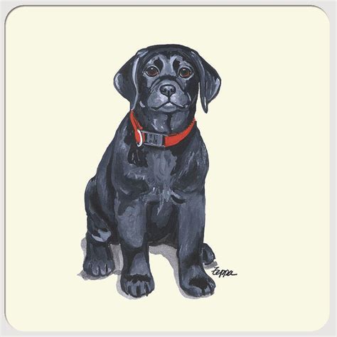 Labrador Retriever Black Beverage Coasters