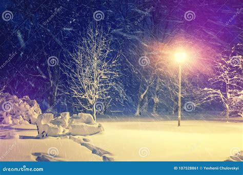 Wonderful Winter Landscape Winter Scenery Snow Covered Frosty Frosty