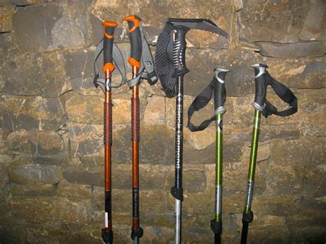 Bastones De Black Diamond Traverse Carbon Probe Pole Y Whippet Blog