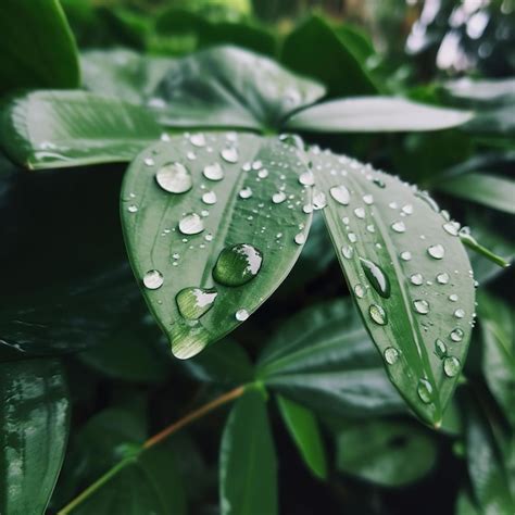 Ilustración generada por ia de gotas de agua brillantes en la