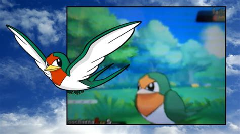 Live Reaction Shiny Taillow After 2 451 RE S OR BQ 2 YouTube