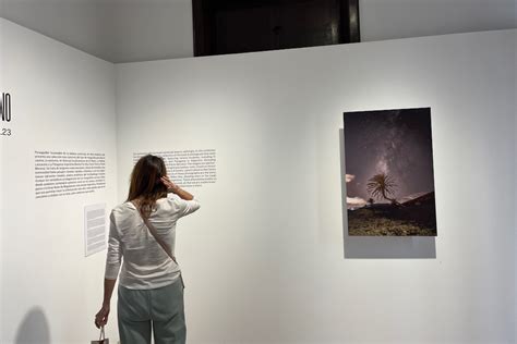 Más de 3 000 personas han visitado la exposición Caminante nocturno