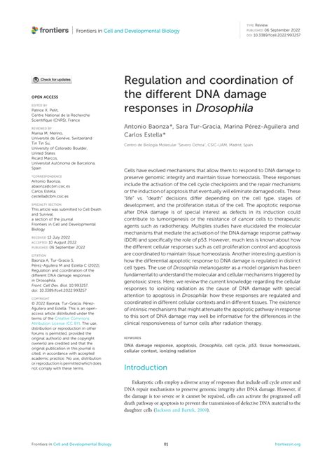 Pdf Regulation And Coordination Of The Different Dna Damage Responses