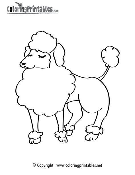 Poodle Coloring Page A Free Animal Coloring Printable