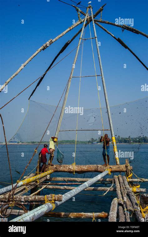 Fishermen Operate The Famous Chinese Fishing Nets Of Fort Kochi In