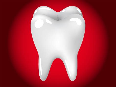 Tooth Vector Art Graphics Freevector