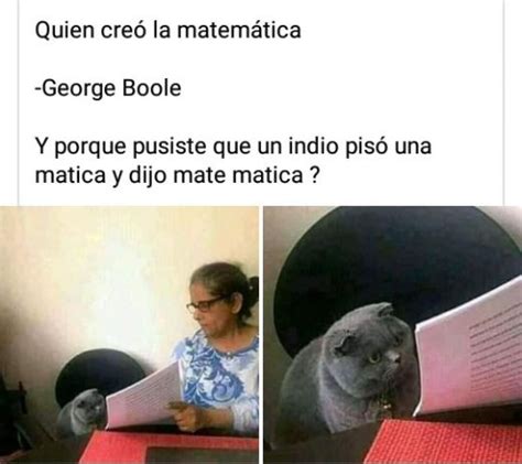 Los Mejores Memes Del Gato Gris Regañado Solo En Venezuela