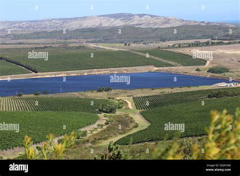 Cape Agulhas Winery Hi Res Stock Photography And Images Alamy