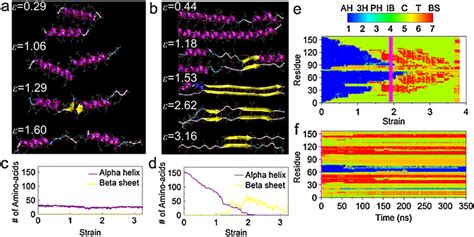 Color Online Simulation Snapshots Of Two Coiled Coil Proteins Under