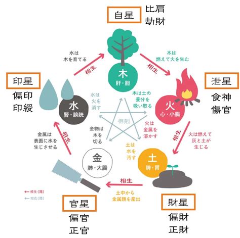 四柱推命の占い方の手順をやさしく解説！｜占いタイム朱杏syuan