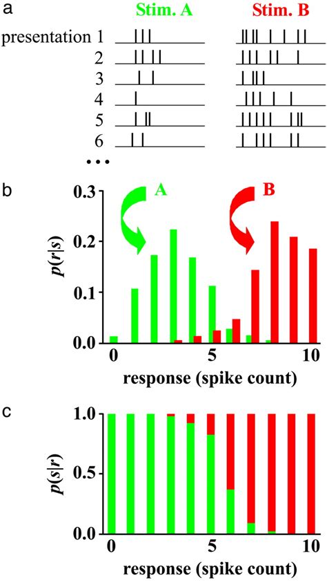 Decoding Neuronal Spike Trains How Important Are Correlations Pnas