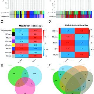 A B Gene Clustering Tree And Module Division Based On P WGCNA And