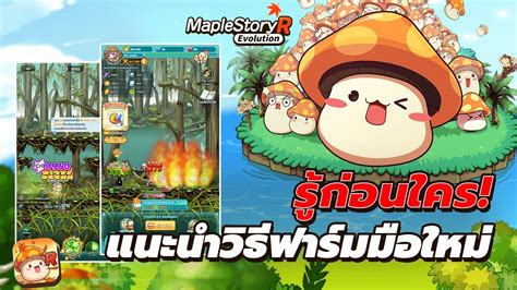 MapleStory R Evolution แนะแนววธฟารมมอใหม ใหเรว ใหไว รบ