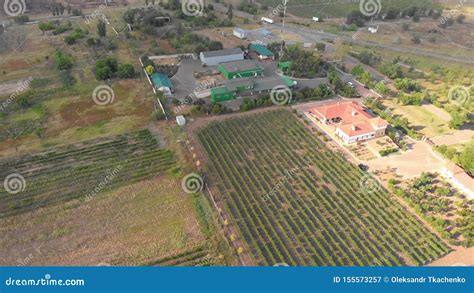 Paisaje Agr Cola Diversidad De Las Formas Y De Los Colores Campos Con