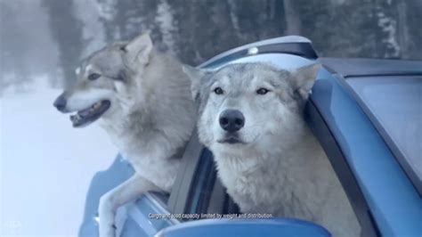 Wolf Pack Rav4 Hybrid Toyota Youtube