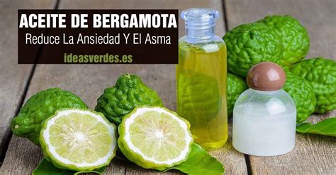 Aceite Esencial De Bergamota Propiedades Y Usos Ideas Verdes