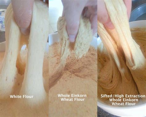 Tips For Baking With Einkorn Flour Einkorn