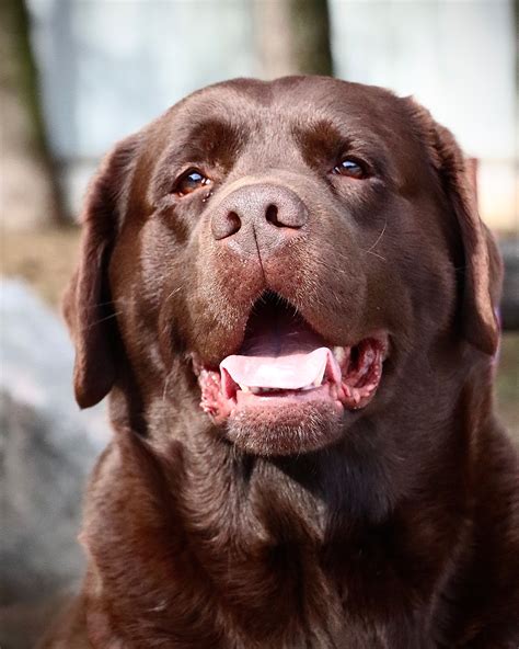 Elena Orlova Inamorato added a... - Elena Orlova Inamorato