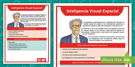 Póster Inteligencia Visual Espacial profesor hizo