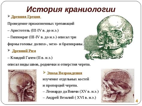 Презентация Гайворонский Лекция 4 Краниология