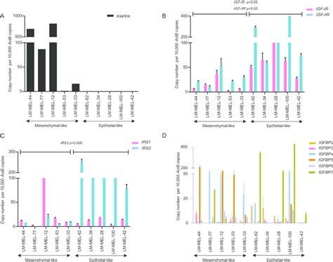 Expression Of Major Components Of Igf Axis In Melanoma Cell Lines A