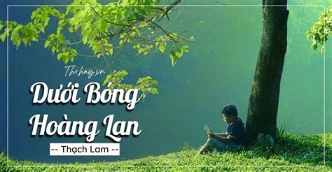 Dưới Bóng Hoàng Lan ️️Nội Dung Tác Phẩm, Giá Trị, Phân Tích