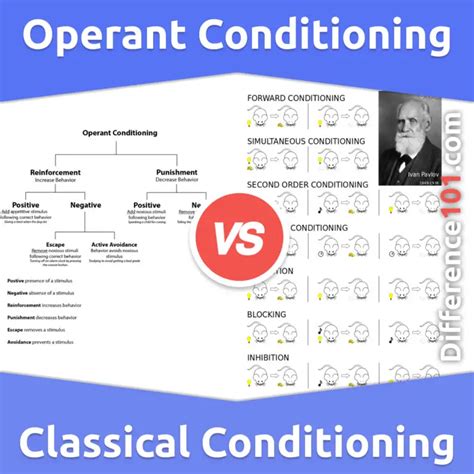 Operant Conditioning Vs Classical Conditioning Main Distinctions To