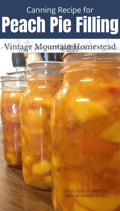 Apple Pie Filling A Water Bath Food Preservation Recipe