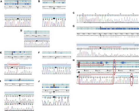 Frontiers Sanger Validation Of High Throughput Sequencing In Genetic