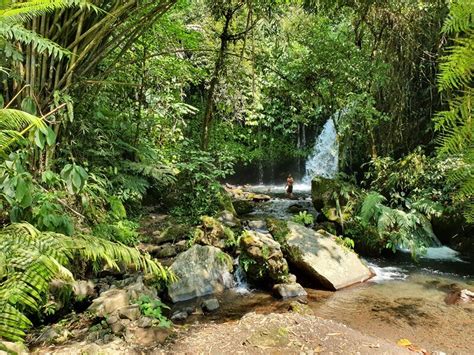 Air Terjun Yeh Hoo Pesona Tradisi Subak Dan Curug Cantik Di Jatiluwih