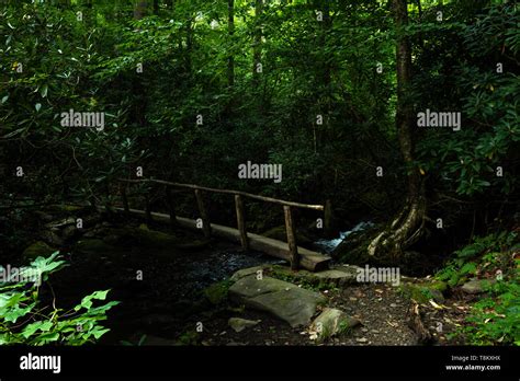 Wooden Bridge Over Creek Stock Photo Alamy