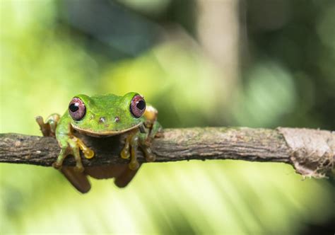 Selva Lacandona insólita experiencia natural Rincones de México