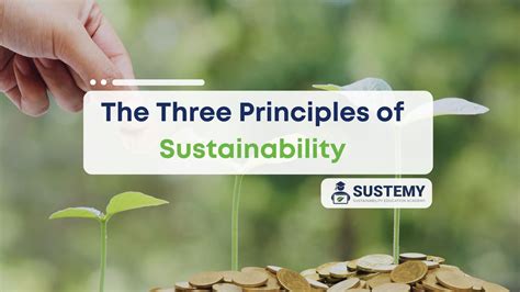 Principles Of Sustainability Building A Greener Future