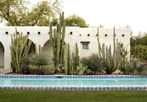 25 Spectacular Desert Garden Design Ideas - DigsDigs