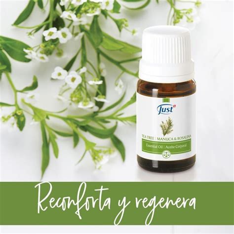 Tea Tree Con Manuca Y Rosalina Aromaterapia Y Bienestar