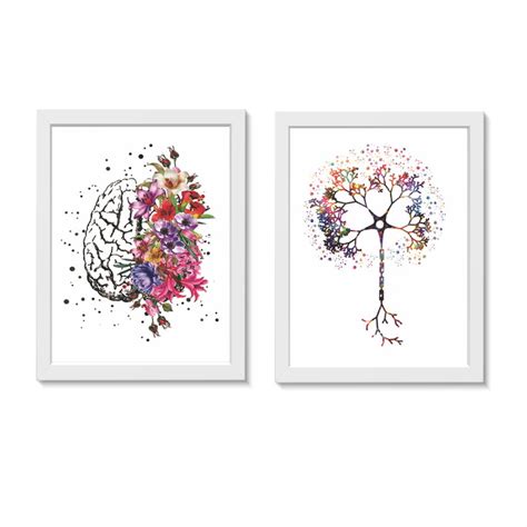 Kit Quadros Decorativos C Rebro Neur Nio Neurologia Elo