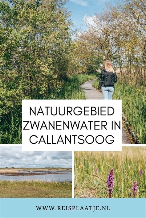 Zwanenwater In Callantsoog Dit Zijn De Mooiste Wandelroutes Artofit