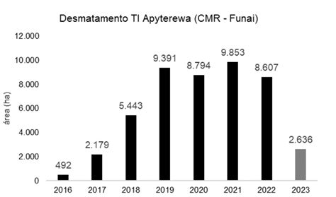 Desmatamento na Terra Indígena Apyterewa PA cai 97 no primeiro