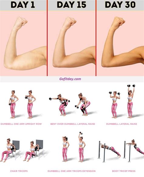 Easy Arm Workouts With Weights