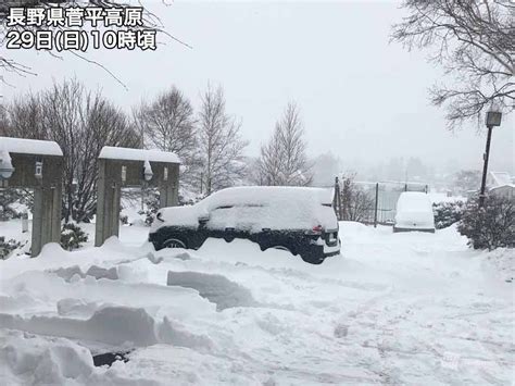 東京で今季初の積雪1cm観測 関東の雪は峠越える 記事詳細｜infoseekニュース