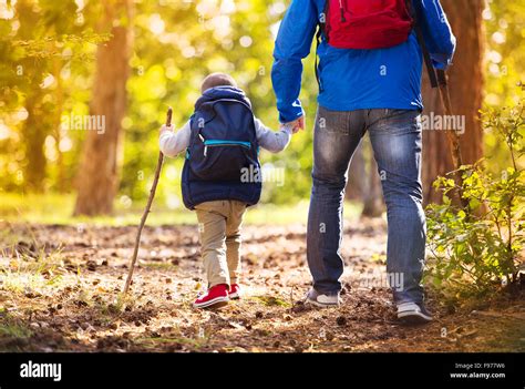 Padre E Hijo Caminar Durante El Trekking En Oto O Del Bosque Al