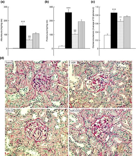 Urinary Albumin Levels A Protein Excretion Levels B Download Scientific Diagram