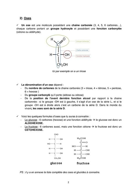 SOLUTION Structure Et Fonctions Des Glucides Studypool