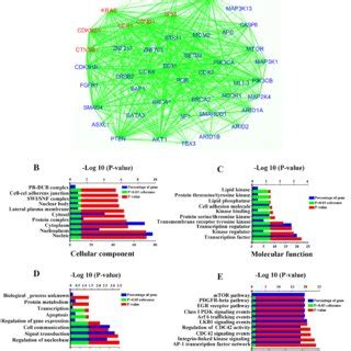 A Boxplot Of DKKs MRNA Expression Levels In Breast Cancer Stratified