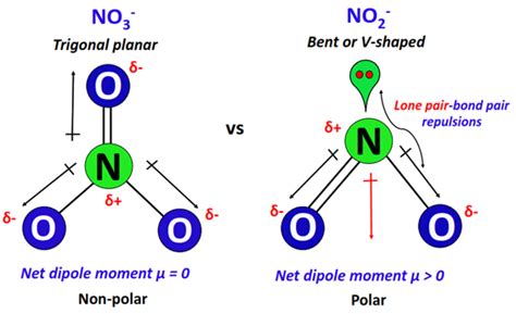 Is No3 Polar Or Nonpolar Polarity Of Nitrate