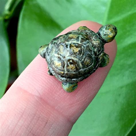 Miniature / tortoise / turtle / animal / pet / mini / | Etsy