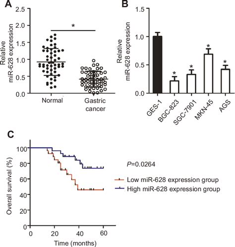 Figure From Long Noncoding Rna Snhg Silencing Inhibits The