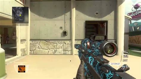 Bo2 Afterlife Camo YouTube